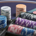 WinMaestros Ceramic Poker Chip Set